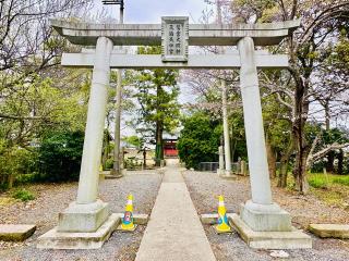 青毛五柱神社の参拝記録(shikigami_hさん)