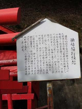 袖神稲荷神社の参拝記録(なっぱさん)