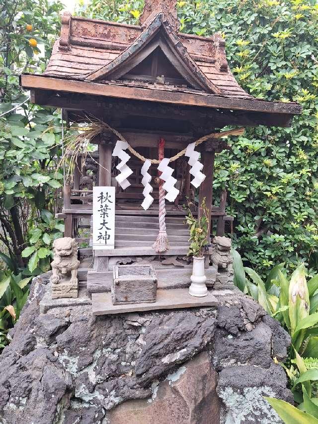 秋葉大神(柳森神社境内社)の参拝記録6