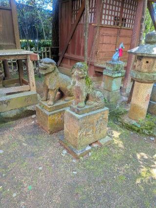 厳島神社(渋谷氷川神社境内社)の参拝記録(はくすみさん)