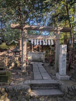 巽神社(大國魂神社境内社)の参拝記録(はくすみさん)