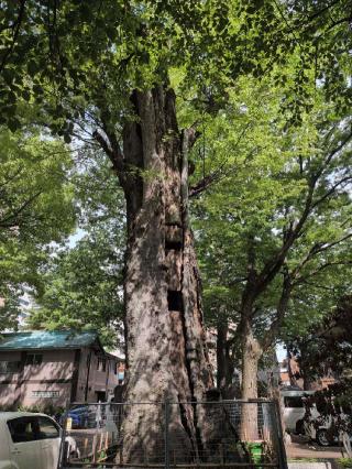 稲荷神社(大國魂神社境内社)の参拝記録(SFUKUさん)
