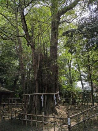 住吉神社・大鷲神社(大國魂神社境内社)の参拝記録(SFUKUさん)