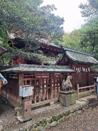 東照宮(大國魂神社境内社)の参拝記録(まーさんさん)