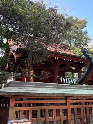 東照宮(大國魂神社境内社)の参拝記録(色部優兎さん)