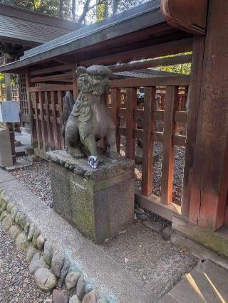 東照宮(大國魂神社境内社)の参拝記録(はくすみさん)