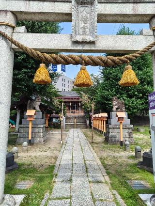 稲野辺神社の参拝記録(安房之国さん)