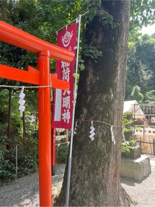 稲荷社(穴澤天神社境内社)の参拝記録(⛩️🐍🐢まめ🐢🐍⛩️さん)