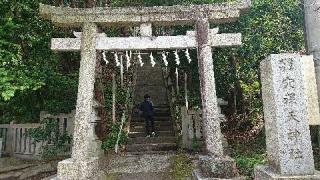 辨天社（穴澤天神社境内）の参拝記録(プラティニさん)