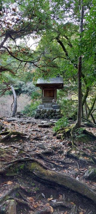 玉川水神社の参拝記録(まーぼーさん)