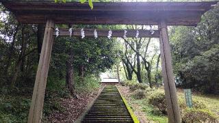 須賀神社の参拝記録(miyumikoさん)