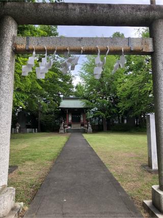 羽村市護国神社の参拝記録(こーちんさん)
