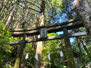 貴布祢伊龍神社の参拝記録(ろばさん)