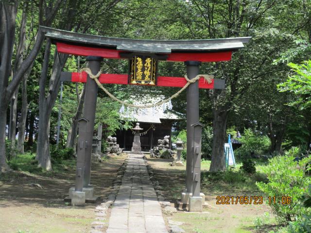 埼玉県久喜市東大輪1713 大輪神社の写真3