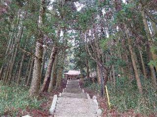 春日神社の参拝記録(matsuyoshi49さん)