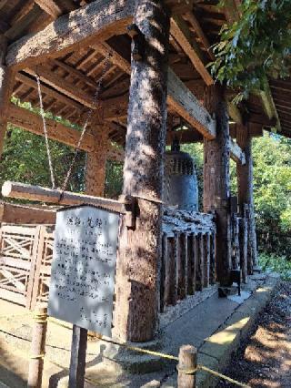 瑞鹿山 円覚寺 弁天堂の参拝記録(まーさんさん)