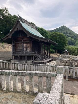 宮脇山八幡神社の参拝記録(くっくさん)