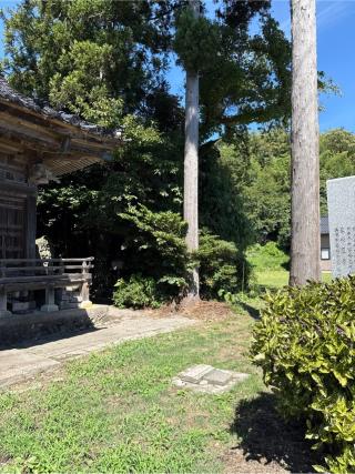 荒崎神社の参拝記録(⛩️🐍🐢まめ🐢🐍⛩️さん)