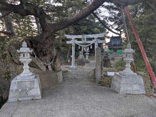 津神神社の参拝記録(だーよしさん)