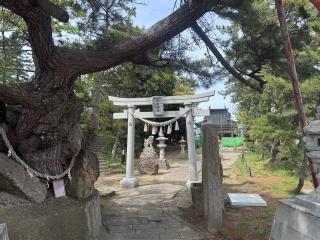 津神神社の参拝記録(ぐろ兄貴さん)