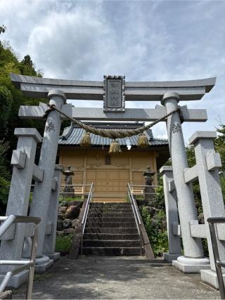 津上神社の参拝記録(⛩️🐍🐢まめ🐢🐍⛩️さん)