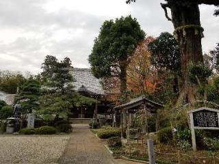 長國山 妙照寺の参拝記録(TATさん)