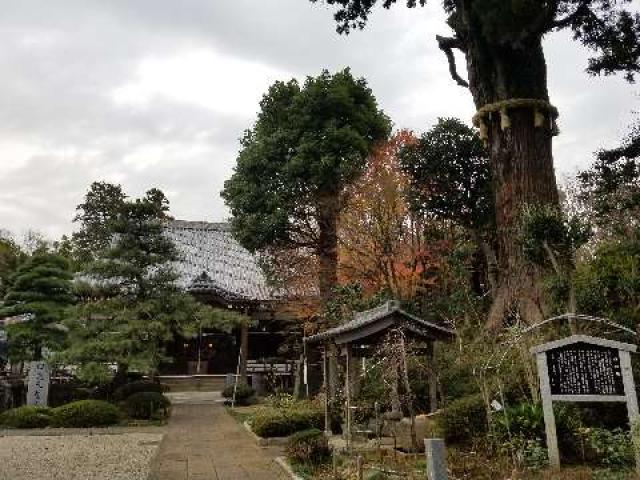 千葉県柏市大井1070 長國山 妙照寺の写真1