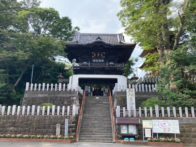 東海寺(布施弁天)の参拝記録8