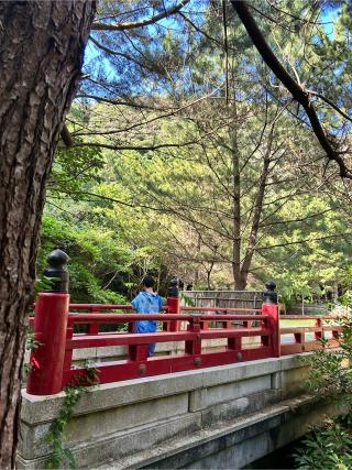 阿波命神社の参拝記録(あゆmamaさん)