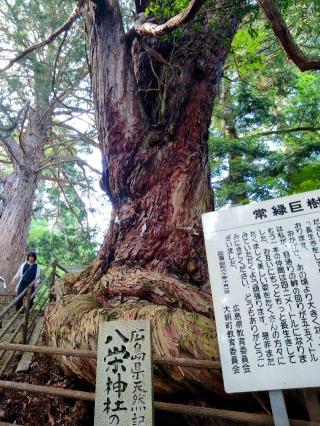 八栄神社の参拝記録(総右衛門さん)