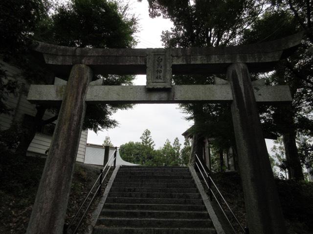 白鳥神社の参拝記録(Takeru Yamatoさん)