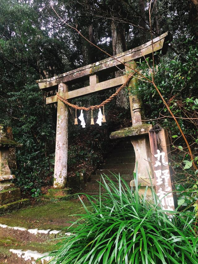 宮崎県宮崎市大字鏡洲835 丸野稲荷神社の写真1