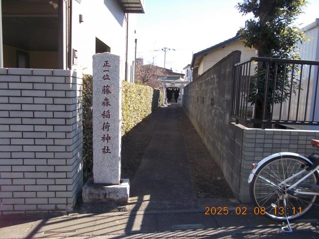 埼玉県所沢市大字坂之下173 藤森稲荷神社の写真2