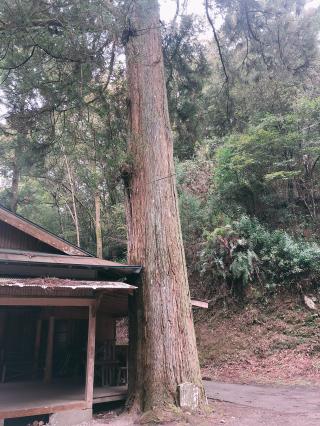 鬼神野神社の参拝記録( 14th moonさん)