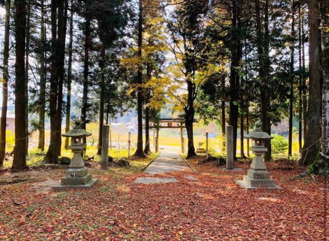 広島県山県郡北広島町奥中原310 大元神社の写真2