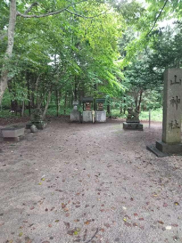 山神社（千歳神社摂末社）の参拝記録6