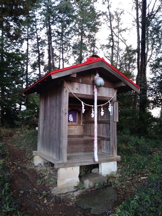 氷川天神社(柳崎氷川神社境内社)の参拝記録9