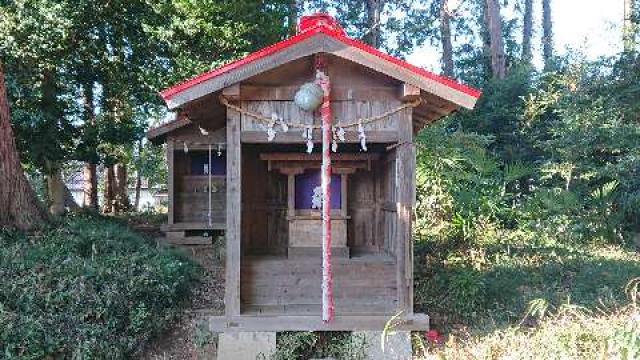 氷川天神社(柳崎氷川神社境内社)の参拝記録8