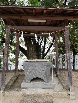 田中八幡神社の参拝記録(さすらいきゃんぱさん)