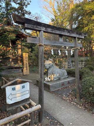 白岡天満宮(白岡八幡宮境内社)の参拝記録(⛩️🎠🐢まめ🐢🎠⛩️さん)