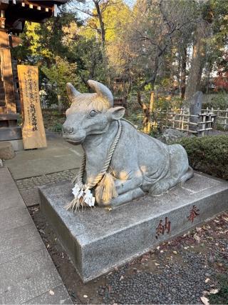 白岡天満宮(白岡八幡宮境内社)の参拝記録(⛩️🎠🐢まめ🐢🎠⛩️さん)