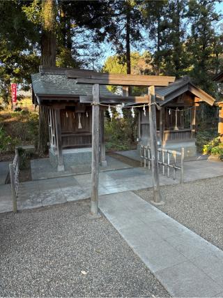 日枝神社(白岡八幡宮境内社)の参拝記録(⛩️🎠🐢まめ🐢🎠⛩️さん)