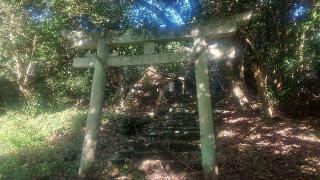 住吉神社の参拝記録(雪月さん)