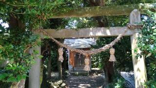 八坂神社の参拝記録(ruinさん)