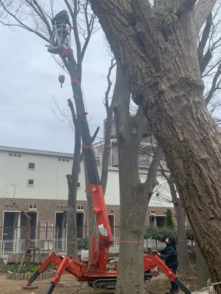 入谷氷川神社の参拝記録(shikigami_hさん)
