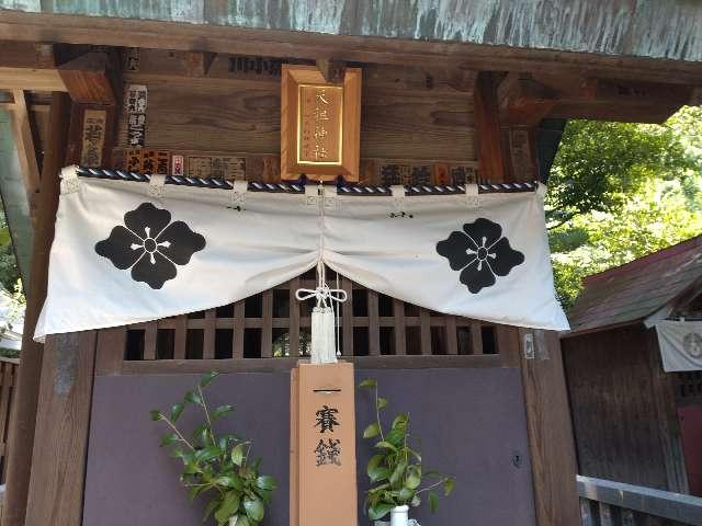 天祖神社(一本杉神明宮)（七社神社末社）の参拝記録9