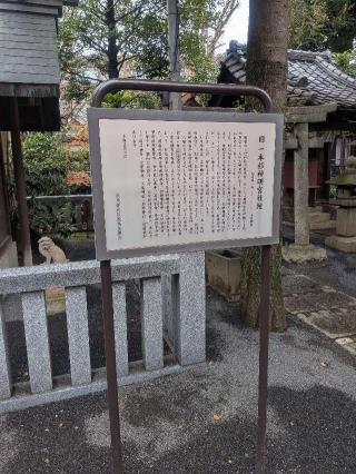 天祖神社（旧一本杉神明宮）（七社神社末社）の参拝記録(はくすみさん)