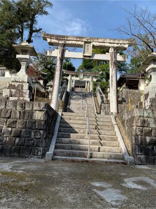 若八幡神社の参拝記録(つんちゃんさん)