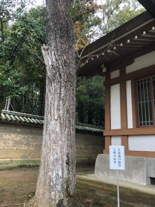 天満宮（多田神社）の参拝記録(KUMIKOさん)