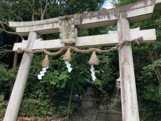 山陵八幡神社の参拝記録(すったもんださん)